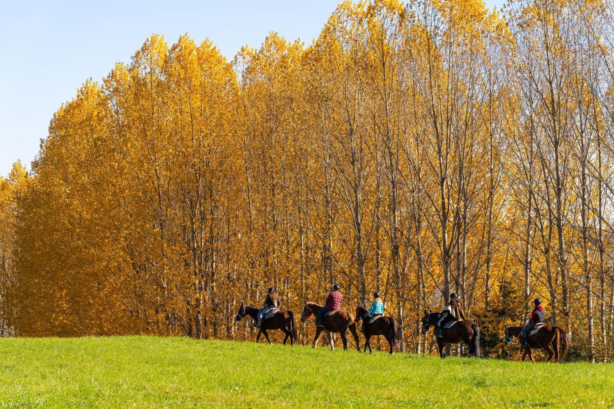Le Baluchon Eco-Villegiature Saint-Paulin Экстерьер фото